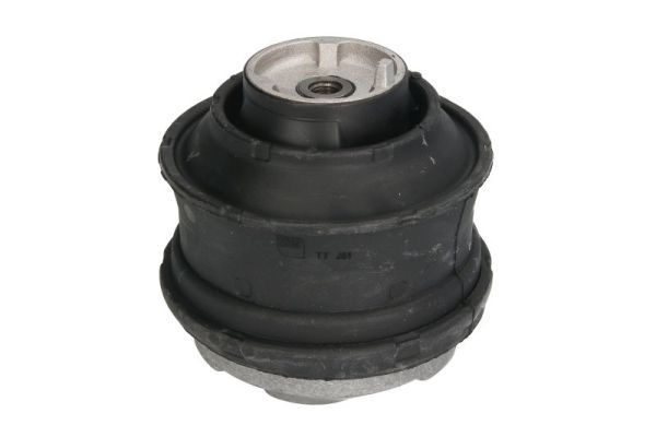 REINHOCH RH11-3036 Mounting, engine