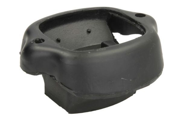 REINHOCH RH11-3041 Mounting, engine