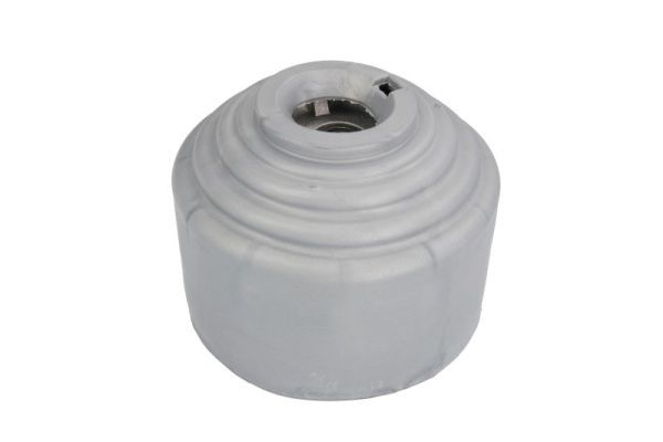 REINHOCH RH11-3044 Mounting, engine
