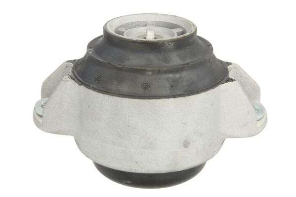 REINHOCH RH11-3056 Mounting, engine