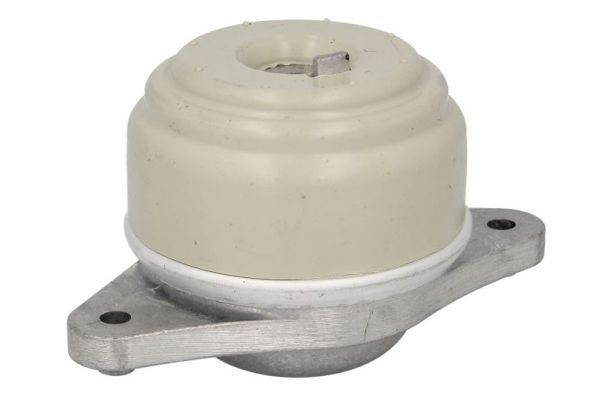 REINHOCH RH11-3098 Mounting, engine