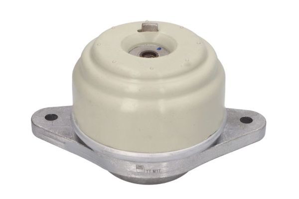 REINHOCH RH11-3099 Mounting, engine