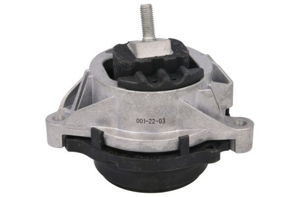 REINHOCH RH11-3113 Mounting, engine