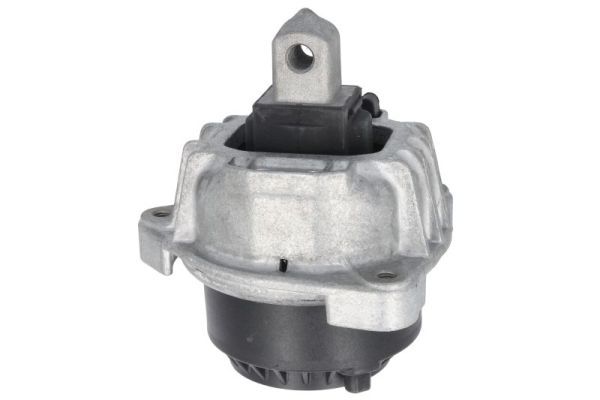 REINHOCH RH11-3116 Mounting, engine