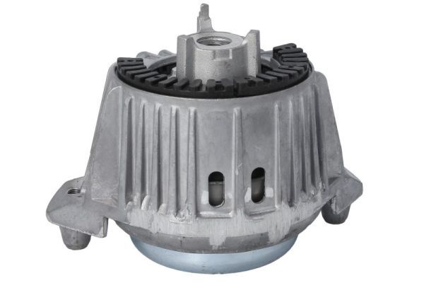 REINHOCH RH11-3119 Mounting, engine