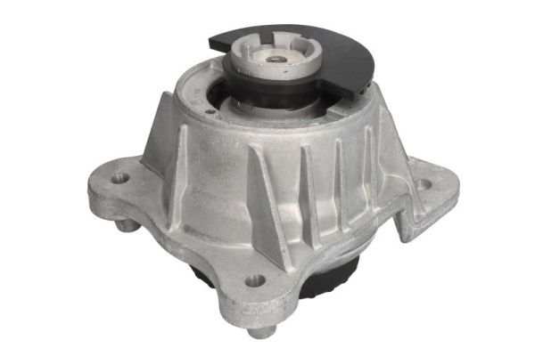 REINHOCH RH11-3129 Mounting, engine