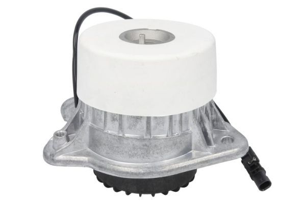 REINHOCH RH11-3131 Mounting, engine
