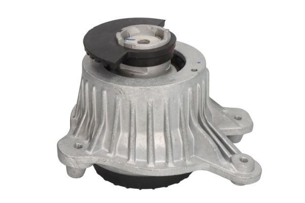 REINHOCH RH11-3136 Mounting, engine