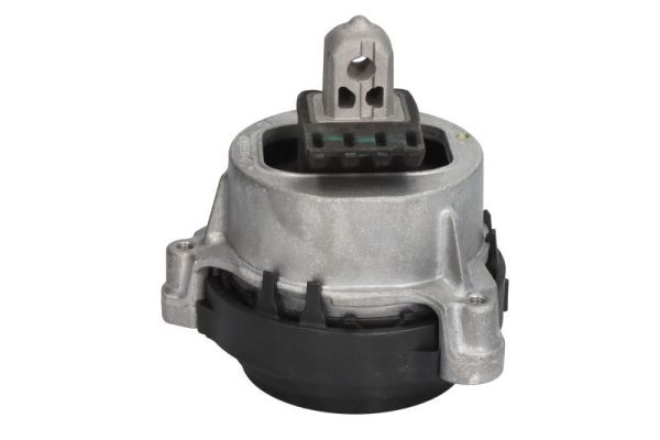 REINHOCH RH11-3138 Mounting, engine