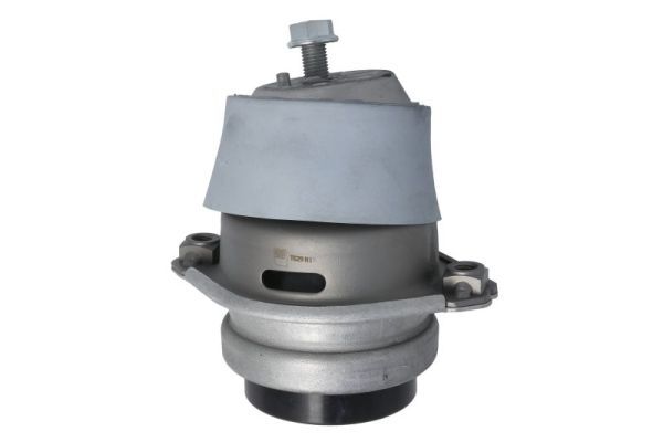 REINHOCH RH11-3147 Mounting, engine