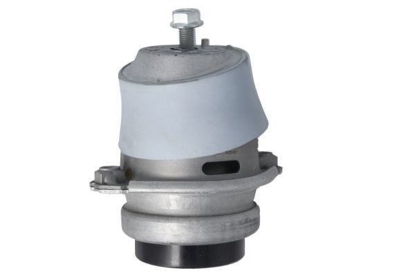REINHOCH RH11-3148 Mounting, engine