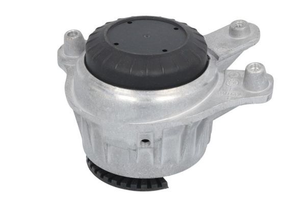 REINHOCH RH11-3159 Mounting, engine