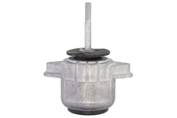 REINHOCH RH11-3163 Mounting, engine