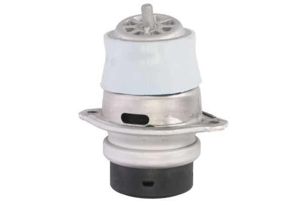 REINHOCH RH11-3164 Mounting, engine
