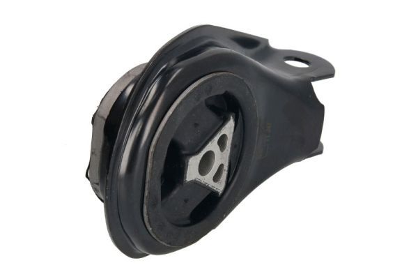 REINHOCH RH11-4000 Mounting, engine