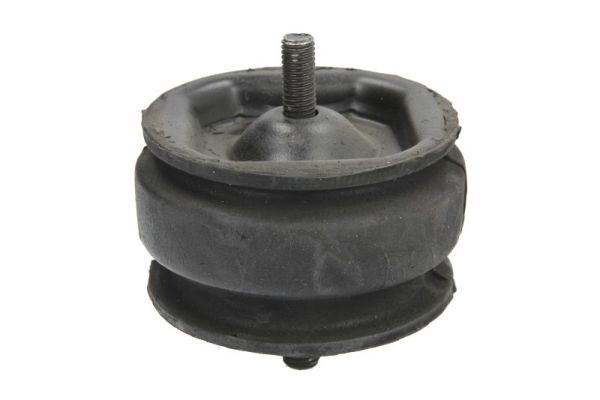 REINHOCH RH11-4002 Mounting, engine