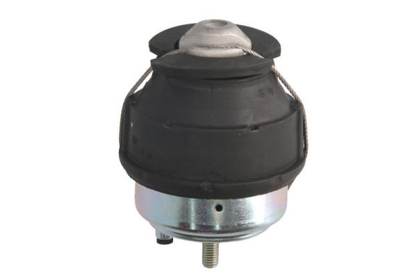 REINHOCH RH11-4006 Mounting, engine