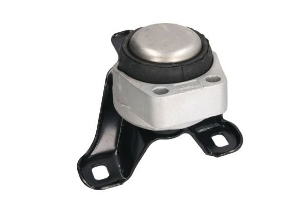 REINHOCH RH11-4018 Mounting, engine
