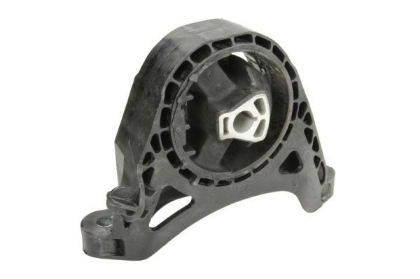 REINHOCH RH11-4042 Mounting, engine
