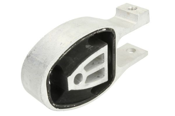 REINHOCH RH11-4043 Mounting, engine