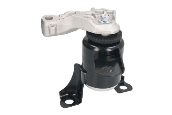 REINHOCH RH11-4053 Mounting, engine