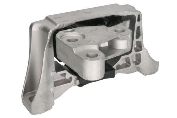 REINHOCH RH11-4073 Mounting, engine