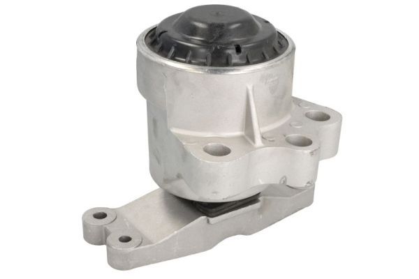 REINHOCH RH11-4077 Mounting, engine
