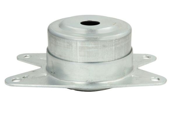 REINHOCH RH11-5018 Mounting, manual transmission