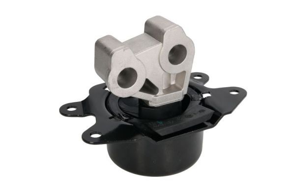REINHOCH RH11-5027 Mounting, engine