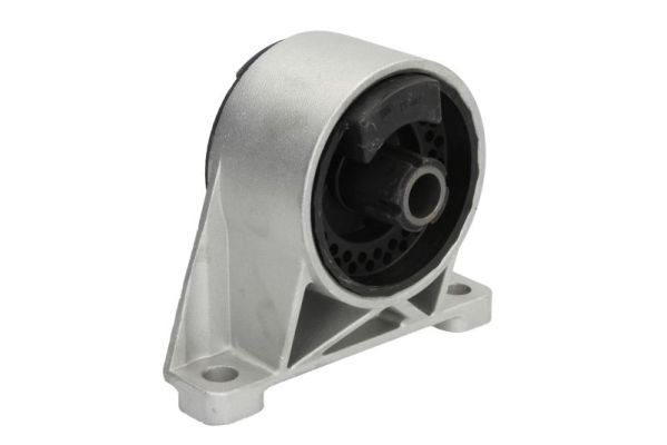 REINHOCH RH11-5028 Mounting, engine