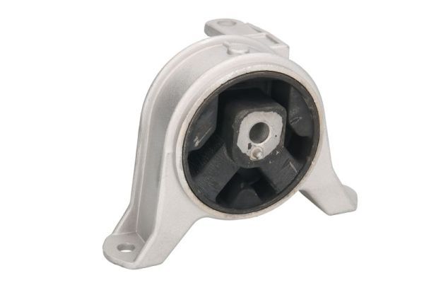 REINHOCH RH11-5030 Mounting, engine