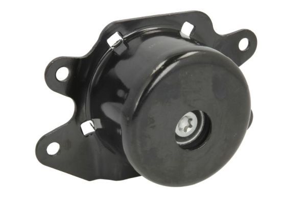 REINHOCH RH11-5035 Mounting, engine