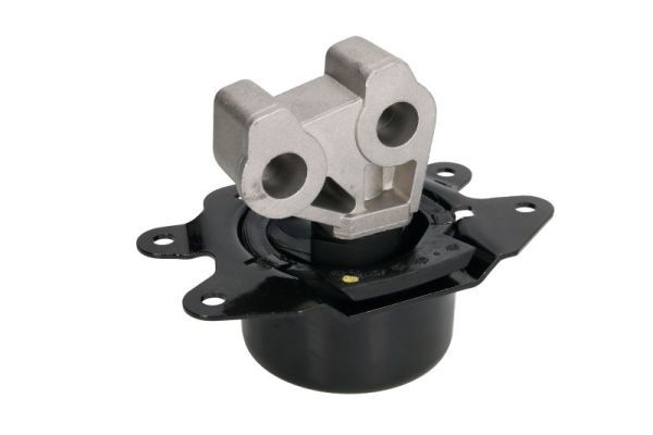 REINHOCH RH11-5065 Mounting, engine