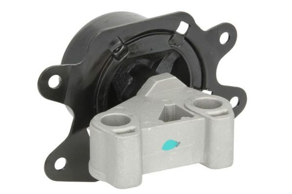REINHOCH RH11-5066 Mounting, engine