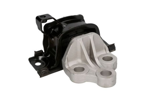 REINHOCH RH11-5069 Mounting, engine