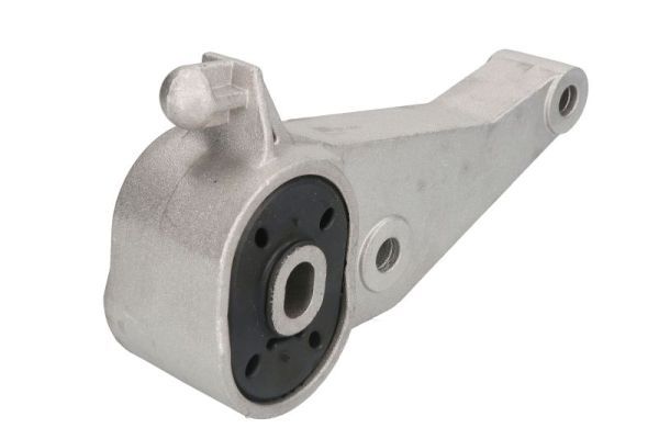 REINHOCH RH11-5079 Mounting, engine