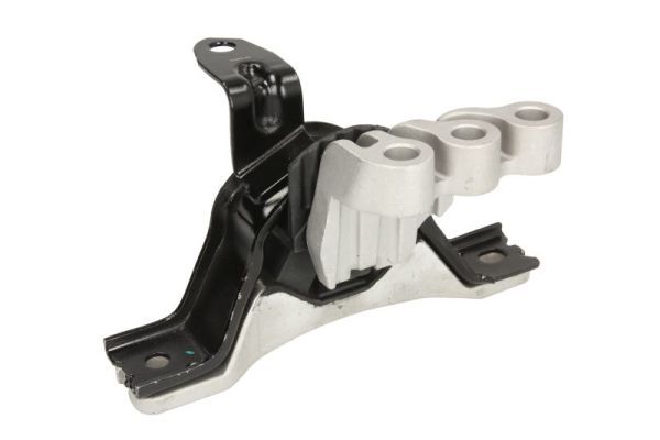 REINHOCH RH11-5087 Mounting, engine