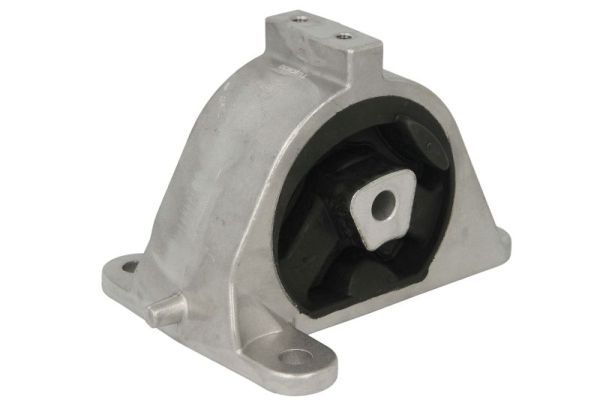 REINHOCH RH11-6002 Mounting, engine