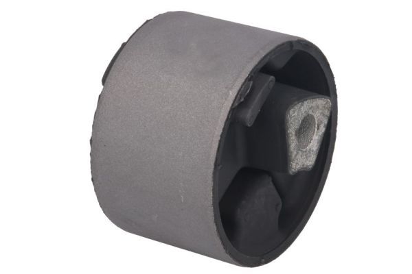REINHOCH RH11-6010 Mounting, engine