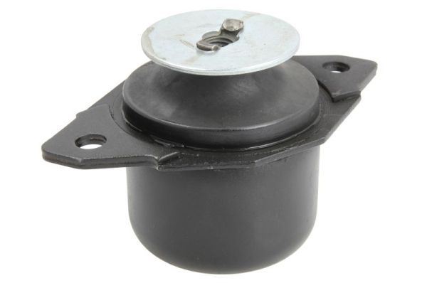 REINHOCH RH12-0007 Mounting, engine
