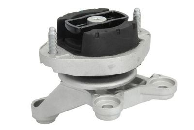 Mounting, manual transmission REINHOCH RH12-0018