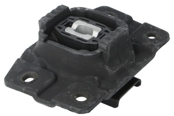 REINHOCH RH12-0045 Mounting, engine