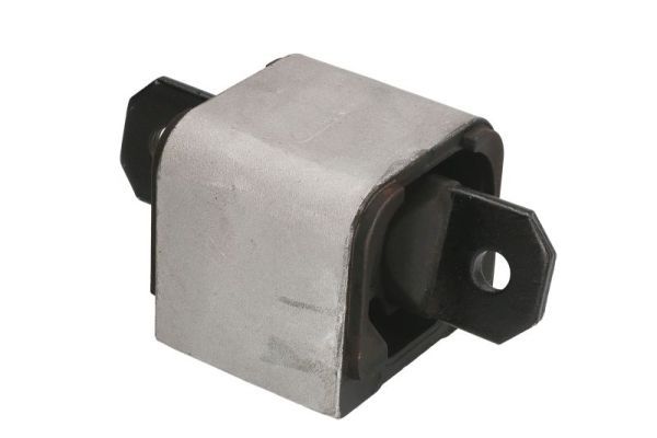 REINHOCH RH12-3005 Mounting, engine