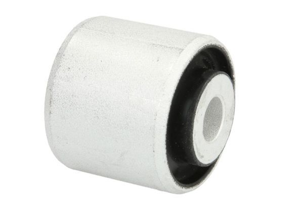 REINHOCH RH14-0053 Mounting, control/trailing arm