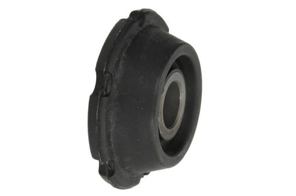 REINHOCH RH14-0058 Mounting, control/trailing arm