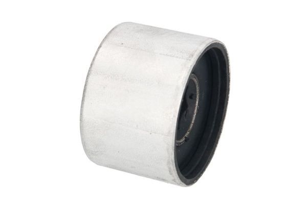 REINHOCH RH14-0065 Mounting, control/trailing arm