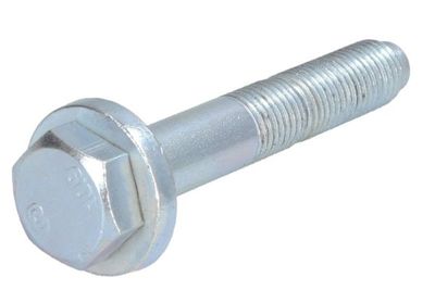 Clamping Bolt, ball joint REINHOCH RH14-0069