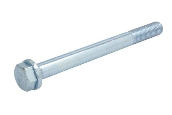 REINHOCH RH14-4038 Mounting and Bolting Kit, control/trailing arm