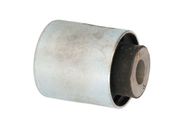 REINHOCH RH20-5003 Bushing, axle beam