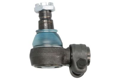 Tie Rod End REINHOCH RH52-3017